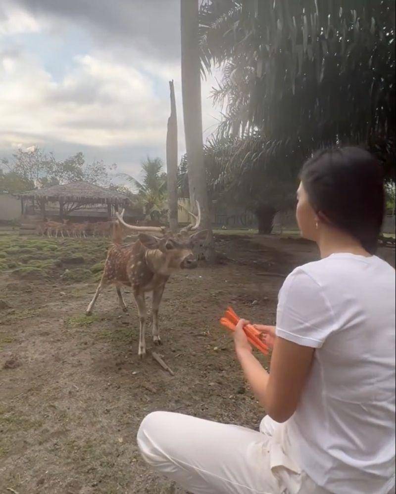 Instagram.com/ralineshah