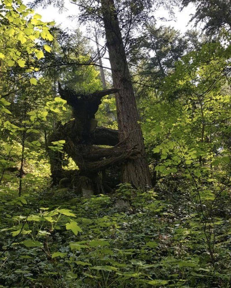 reddit.com/Glit-toris