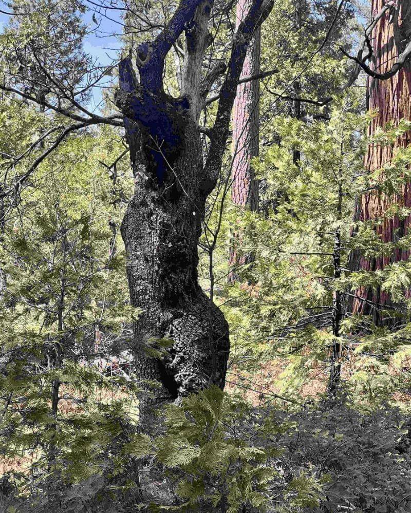 reddit.com/Apprehensive_Arm_330