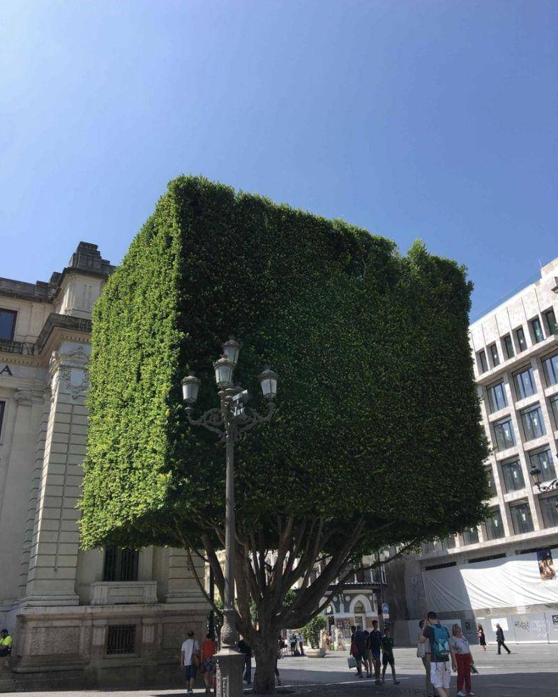 reddit.com/Thebilite