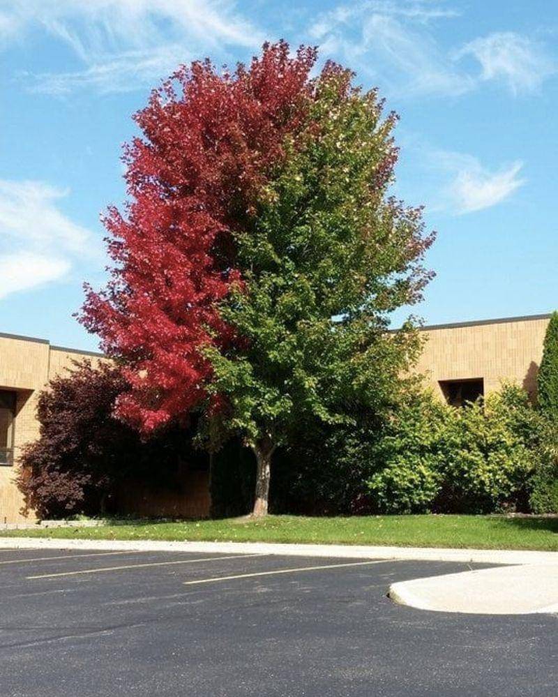 reddit.com/SenseIKrystal