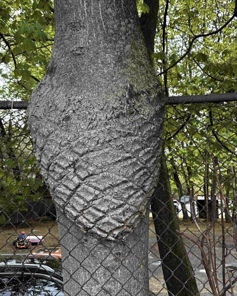 reddit.com/IrreverentBean