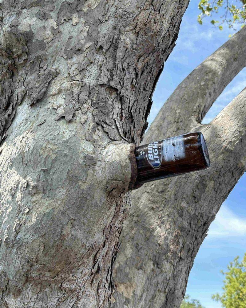 reddit.com/Unsuall-Fold7913