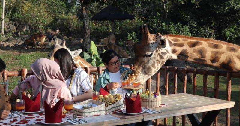 Popmama.com/Putri Syifa N