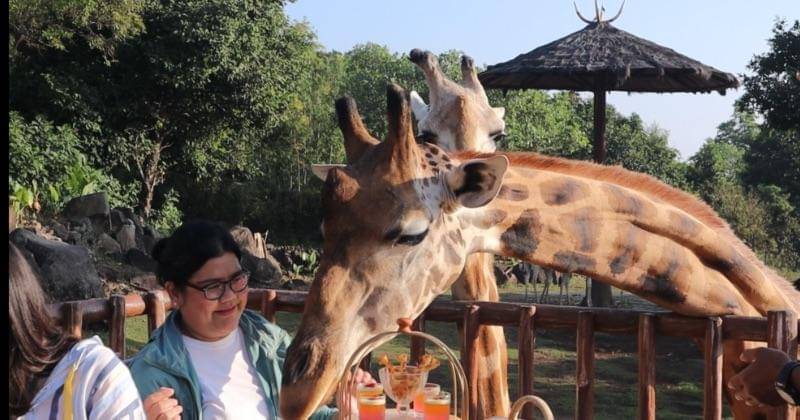 Popmama.com/Putri Syifa N