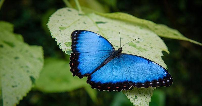 Unsplash/Michal Mrozek