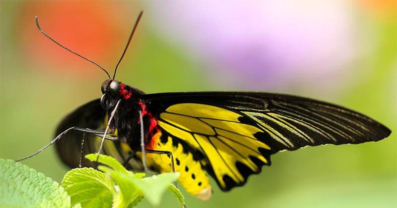 Unsplash/Boris Smokrovic