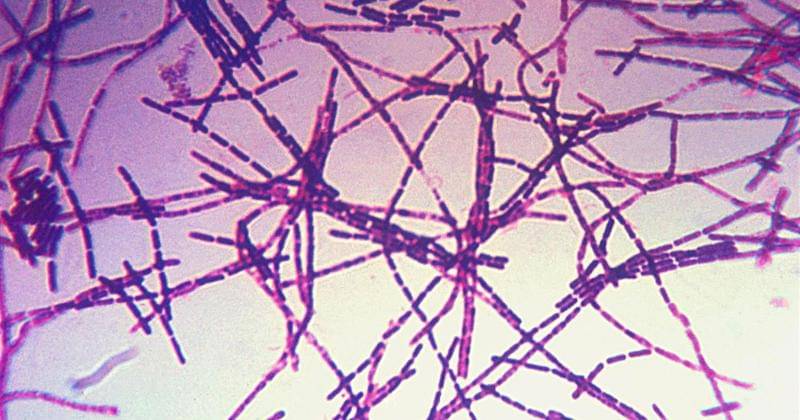 upload.medbullets.com