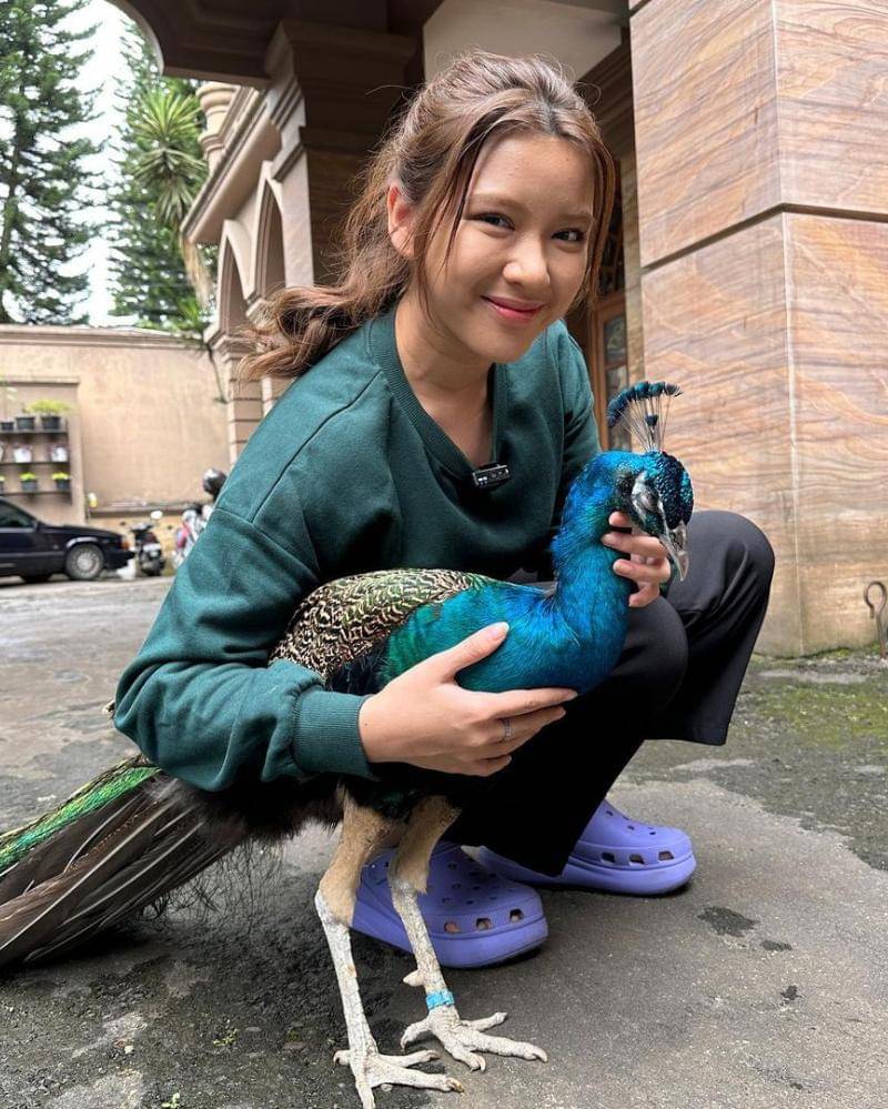 Instagram.com/tiaraandini