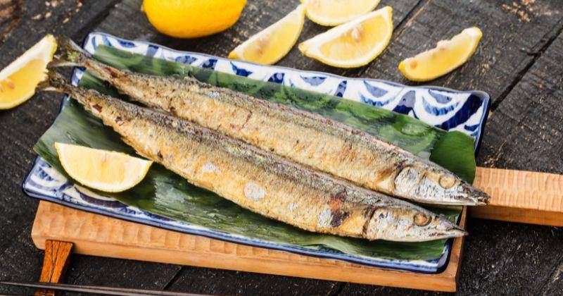 Viral! 7 Manfaat Ikan Shisamo, Jadi Menu Favorit Rayyanza