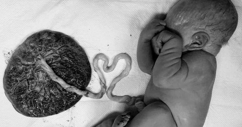 Instagram.com/rachelle.momof4.and1bonus