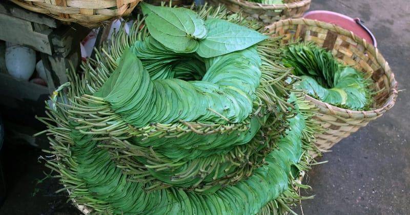 Unsplash/Kentaro Komada