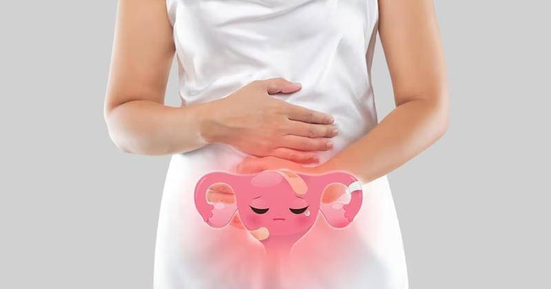 Freepik/eddows-animator