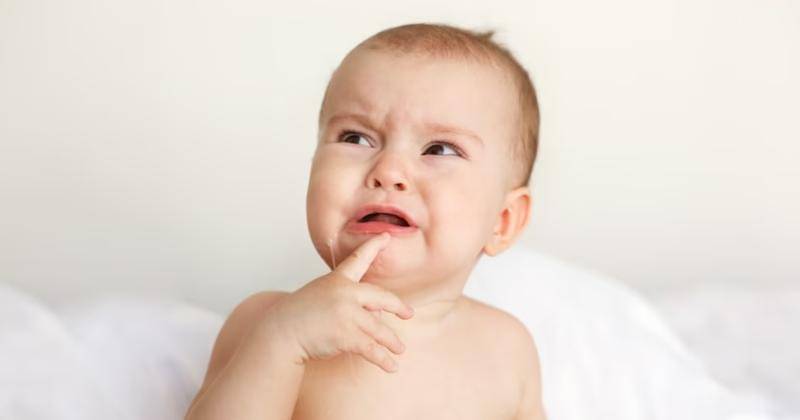 Freepik/cookie_studio