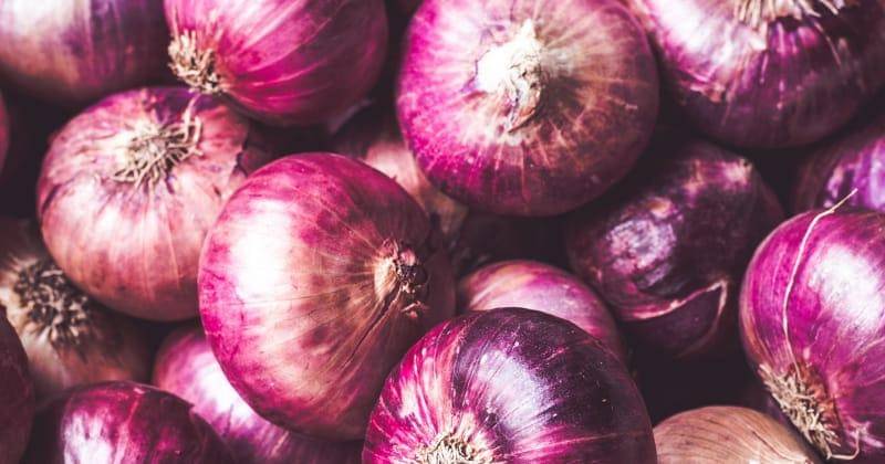 Unsplash/ABHISHEK HAJARE