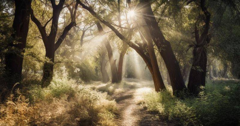 ilustrasi - Freepik/Vecstock