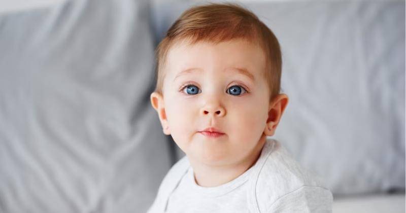 Freepik/gpointstudio