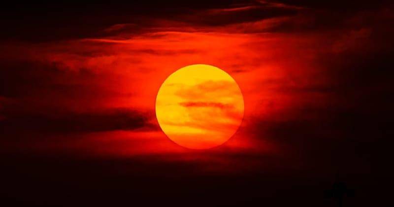 Unsplash/Jared Murray