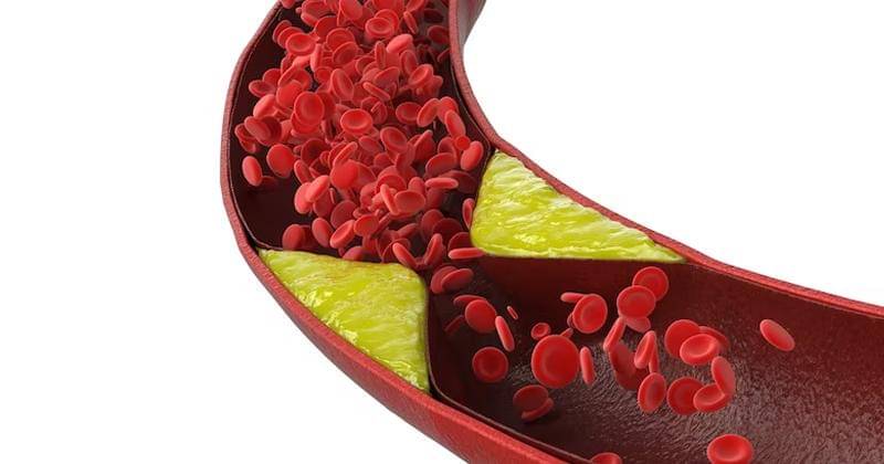 Freepik/Phonlamaistudio