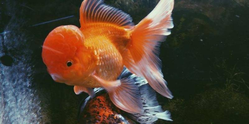 Unsplash/Hannah Jones