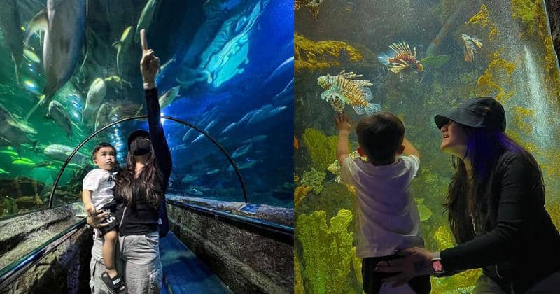 Instagram.com/nathalieholscher