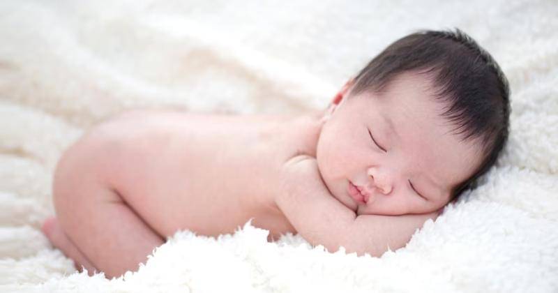 Freepik/studioredcup