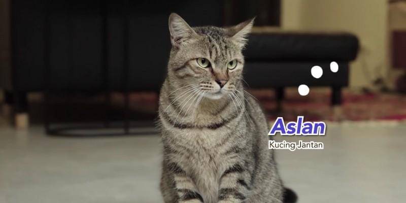 Youtube.com/Anies Baswedan