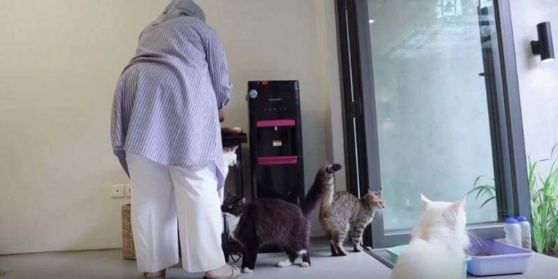 Youtube.com/Anies Baswedan