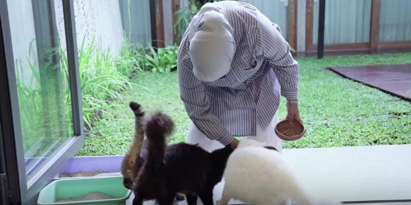 Youtube.com/Anies Baswedan