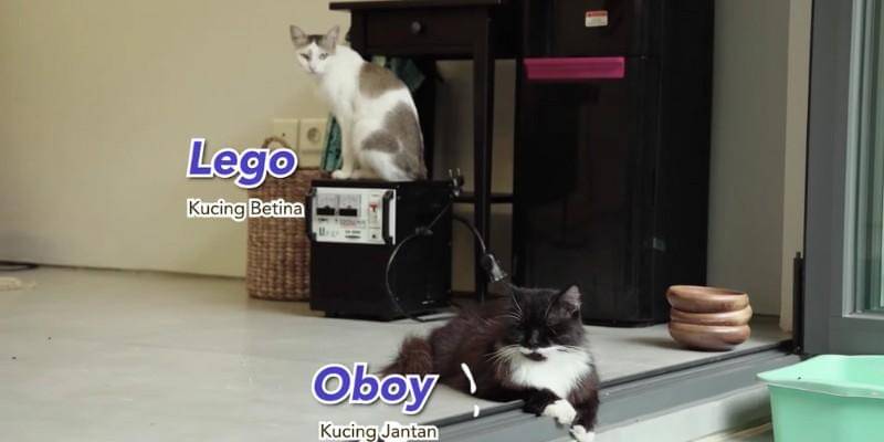 Youtube.com/Anies Baswedan