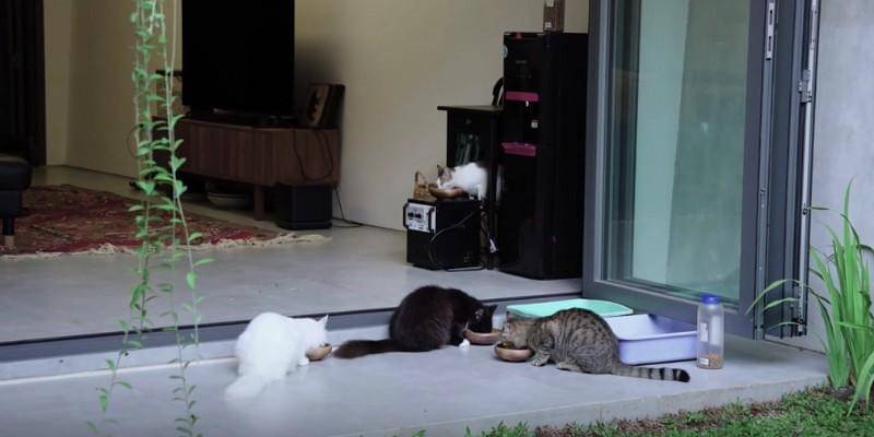 Youtube.com/Anies Baswedan