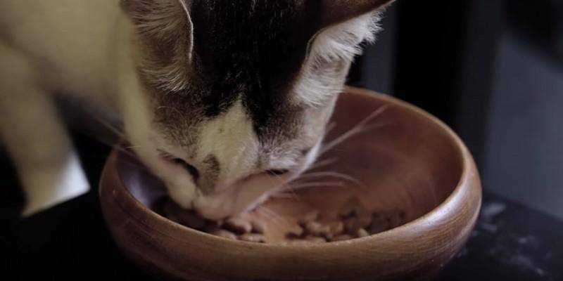 Youtube.com/Anies Baswedan