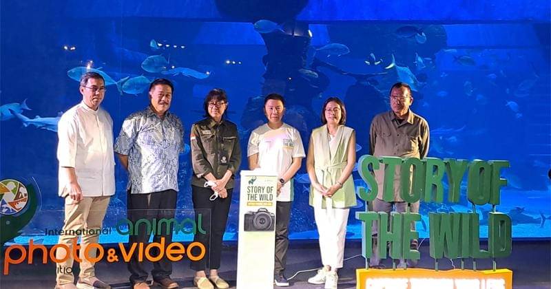 Popmama.com/Ayesha Puri