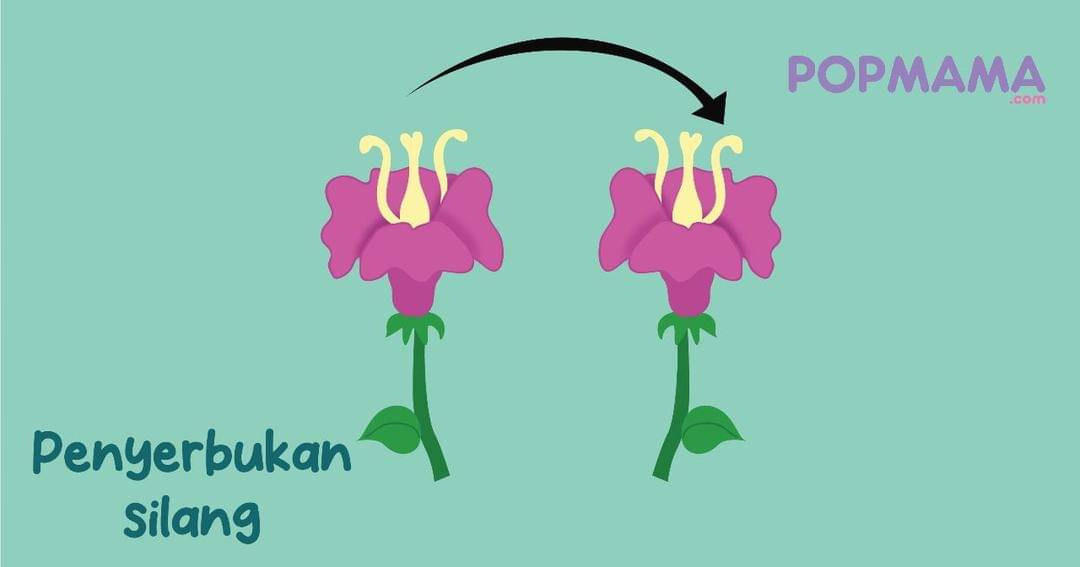 Popmama.com/Aristika Medinasari