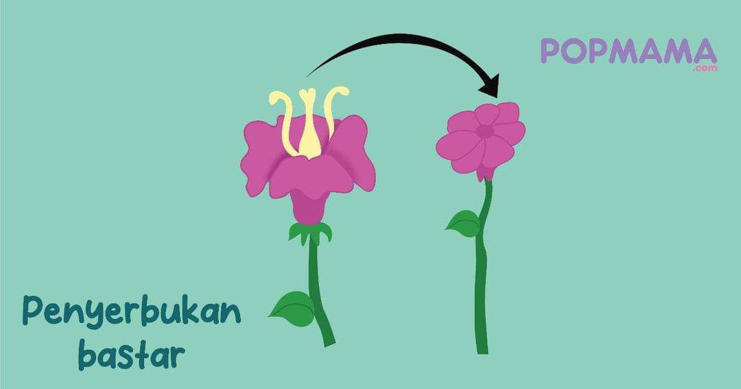 Popmama.com/Aristika Medinasari