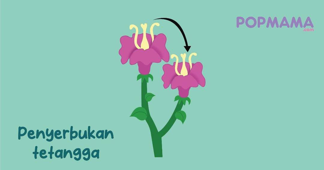 Popmama.com/Aristika Medinasari