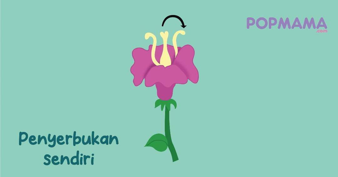 Popmama.com/Aristika Medinasari