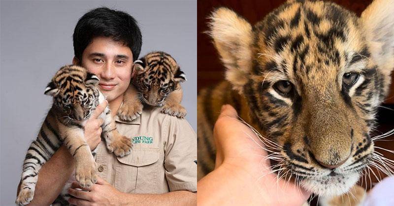 Instagram.com/alshadahmad