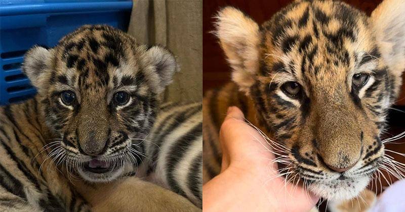 Instagram.com/alshadahmad