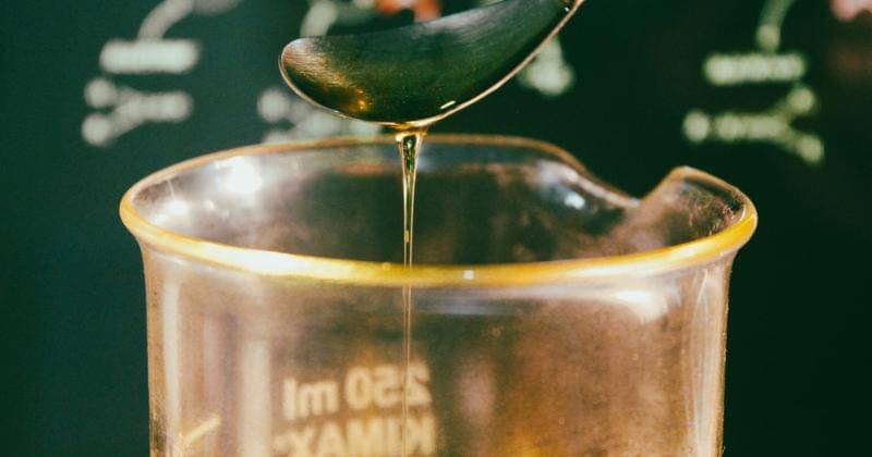 Unsplash/Fulvio Ciccolo