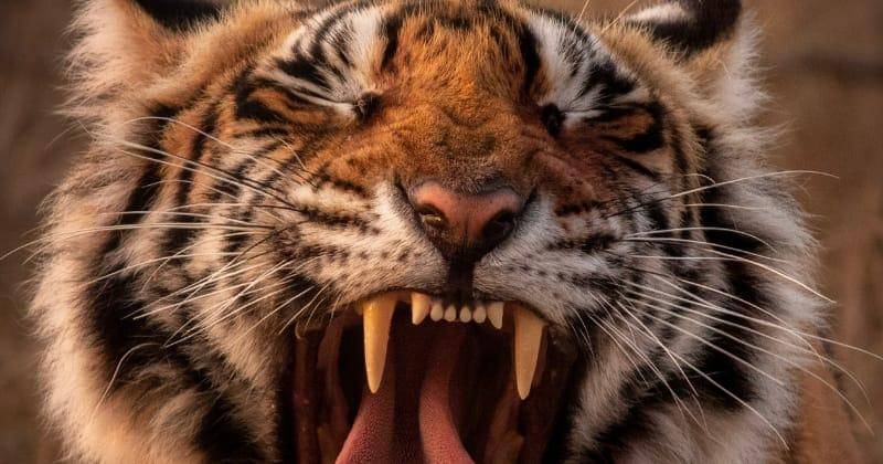 Unsplash/Kartik Iyer