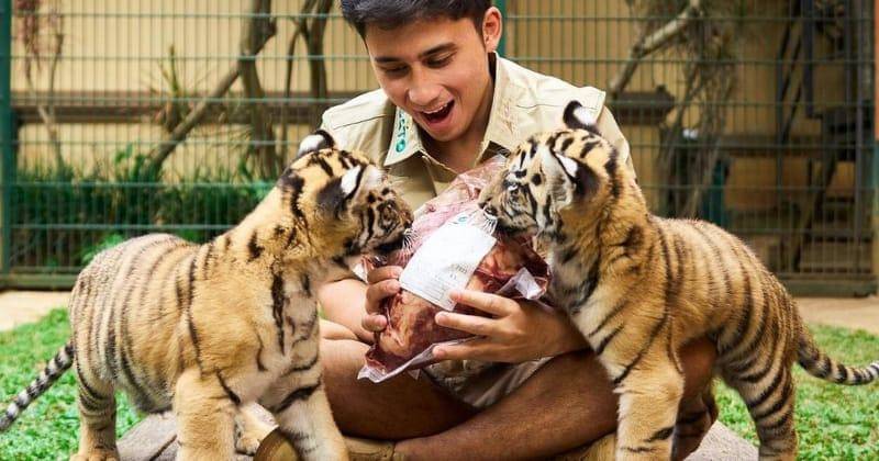 Instagram.com/alshadahmad