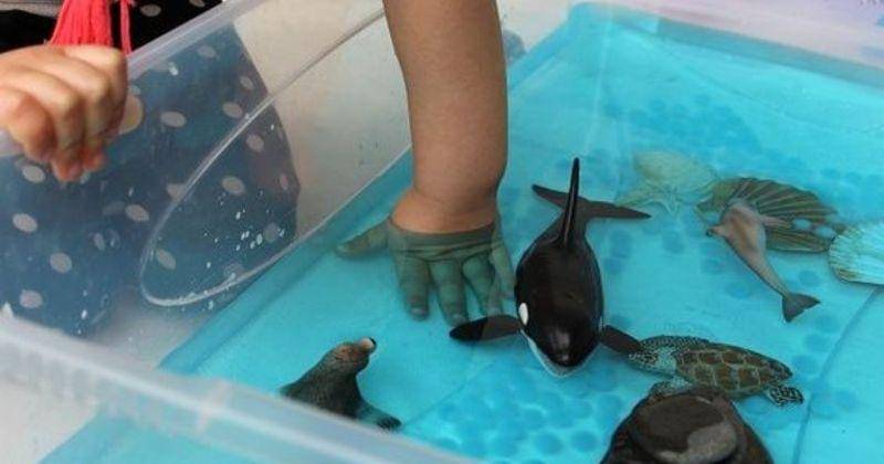 Pinterest.com/blog-parents.fr