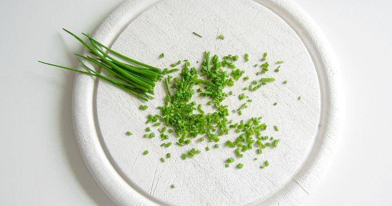 Pixabay/Anna Armbrust