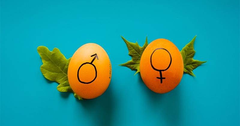 Unsplash/Dainis Graveris