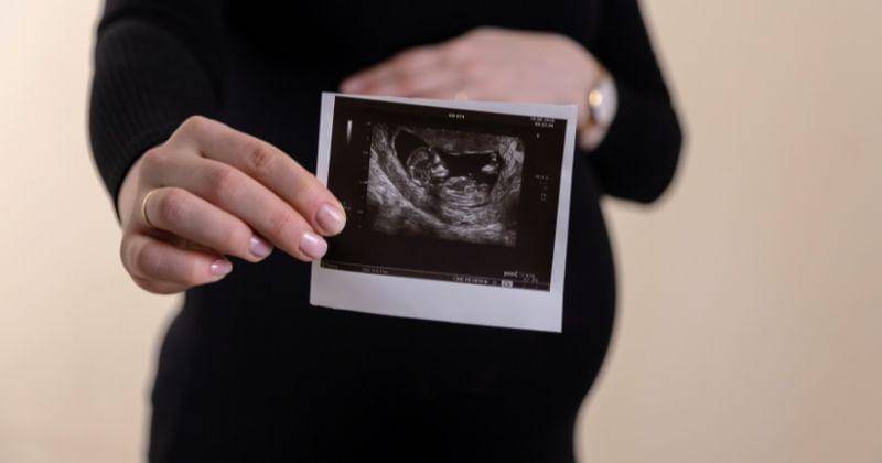 Unsplash/Volodymyr Hryshchenko