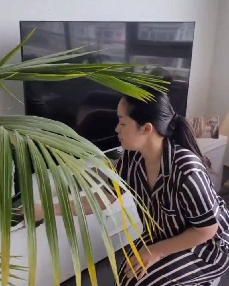 Instagram.com/graciaz14