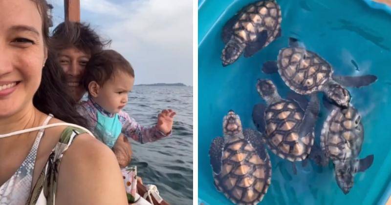 instagram.com/nadinelist