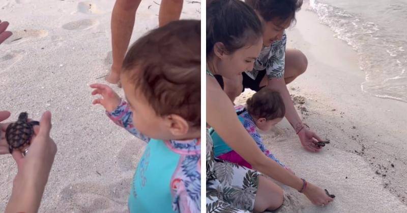 instagram.com/nadinelist