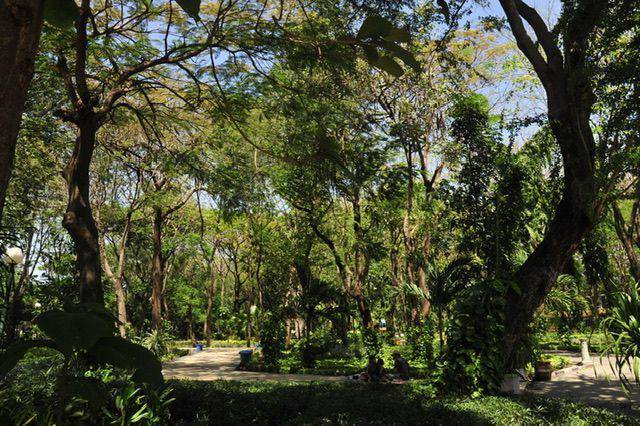 Kebun Bibit dan Taman Flora Bratang Surabaya. Diskominfo Surabaya